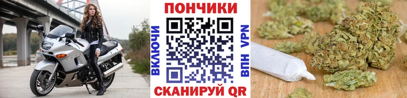 мориарти Telegram  купить закладку  Андреаполь  Бошки Шишки AK-47  МЕГА ссылки 
